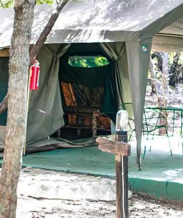 6D5N • 6 Day Budget Kruger National Park Safari