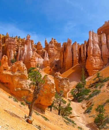 6D5N • San Francisco 6 Day Zion Bryce Grand Canyon Las Vegas Tour