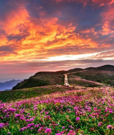 7D6N • China + Guiyang + Huangguoshu Waterfall + Wanfenglin Scenic Area + Maling River Canyon + Xijiang Qianhu Miao Village + Libo+FAST