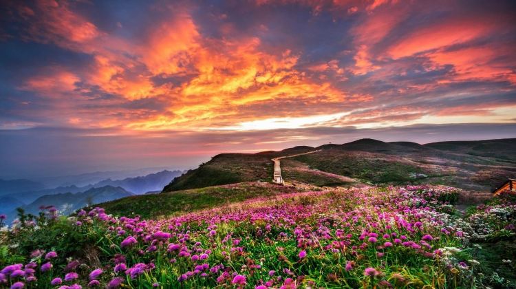 7D6N · Private Tours · China + Guiyang + Huangguoshu Waterfall + Wanfenglin Scenic Area + Maling River Canyon + Xijiang Qianhu Miao Village + Libo+FAST