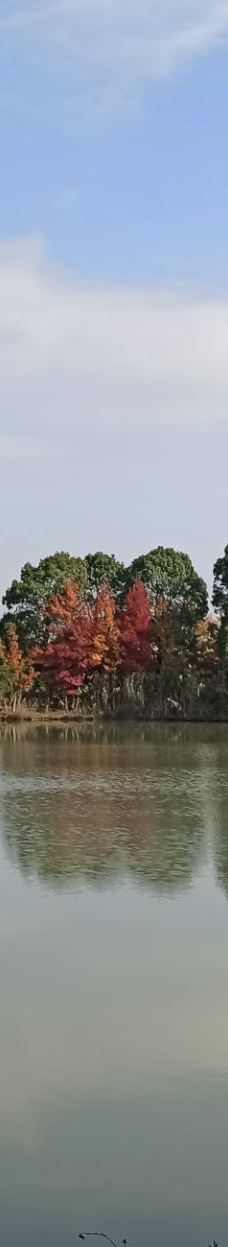 苏州太湖国家湿地公园-苏州