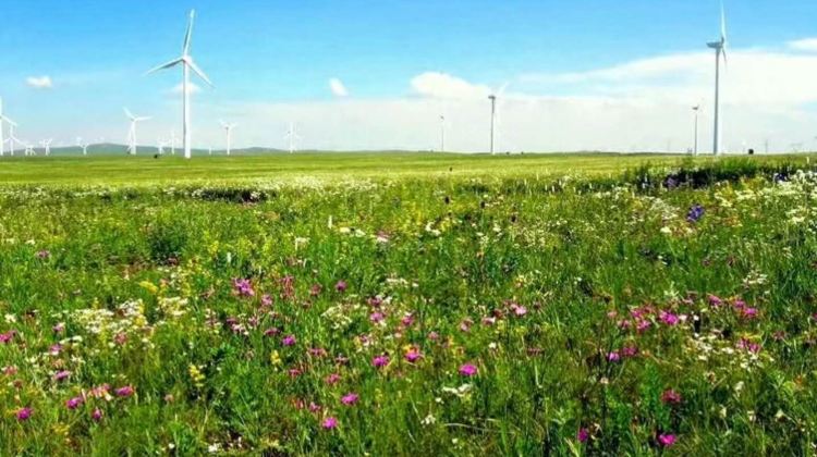 4D3N · Group Tours · Hohhot + Huitengxile Grassland + Ulanqab Consultation offers discounts
