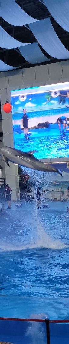 合肥海洋世界-合肥