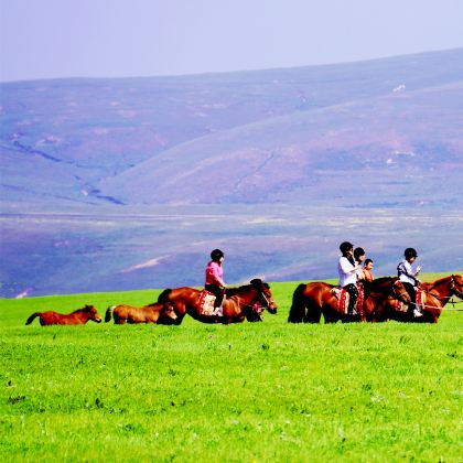 内蒙古乌兰察布乌兰哈达火山地质公园+辉腾锡勒草原+响沙湾2日1晚私家团