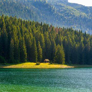 塞尔维亚+波黑+黑山+阿尔巴尼亚12日跟团游