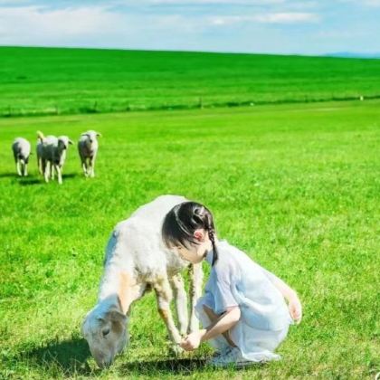 内蒙古呼和浩特+希拉穆仁草原+响沙湾5日跟团游
