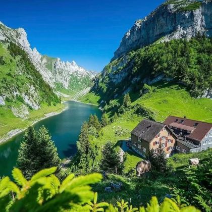 法国巴黎+瑞士日内瓦7日6晚拼小团