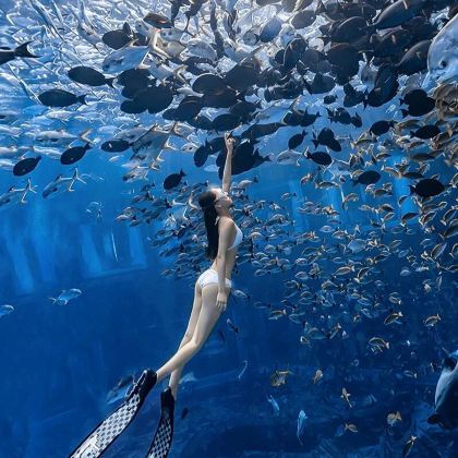 陵水+海南海洋欢乐世界6日5晚跟团游