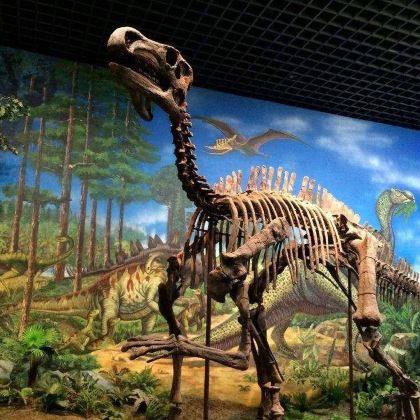 河源+万绿湖•镜花缘游览区3日2晚私家团