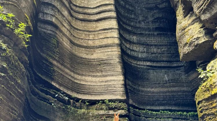 5-day 4-night · Private Tour · Enshi City + Shennongjia