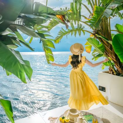 云南昆明+大理市+丽江+西双版纳+玉龙雪山+洱海+石林风景区10日9晚跟团游