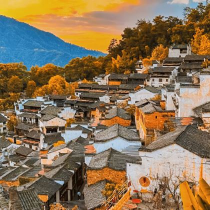 黄山风景区+婺源篁岭2日1晚跟团游