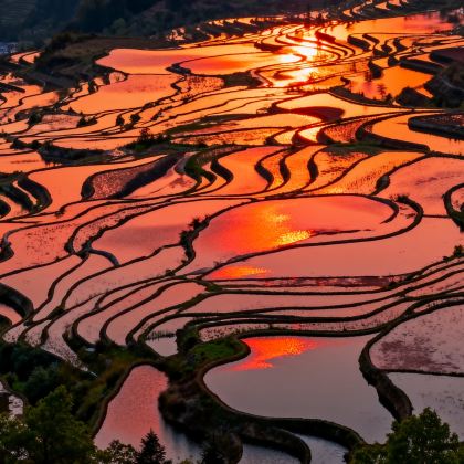 昆明+建水+元阳+弥勒+罗平+普者黑景区+坝美世外桃源景区8日7晚私家团