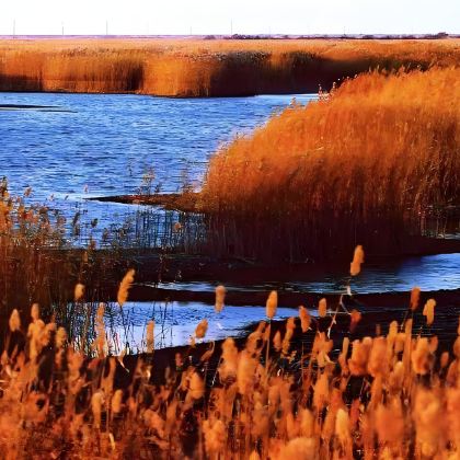 东营+黄河口生态旅游区+黄河入海口+孙子文化园+孙武祠+明月湖国家城市湿地公园+揽翠湖度假区5日4晚私家团