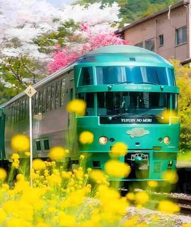 8日7晚 • 日本九州＋北九州市＋熊本市＋宮崎市＋大分市＋福岡＋佐賀市 「神宿九州·古韻今風探秘之旅」