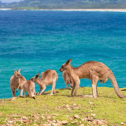 澳大利亚悉尼+黄金海岸+墨尔本10日8晚拼小团