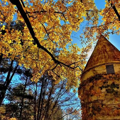 韩国5日4晚私家团