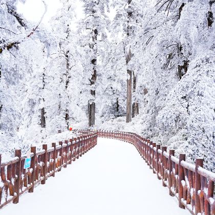 四川2日1晚跟团游