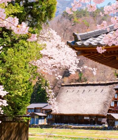 7D6N • Japan + Nagoya + Gifu City + Kanazawa                     
