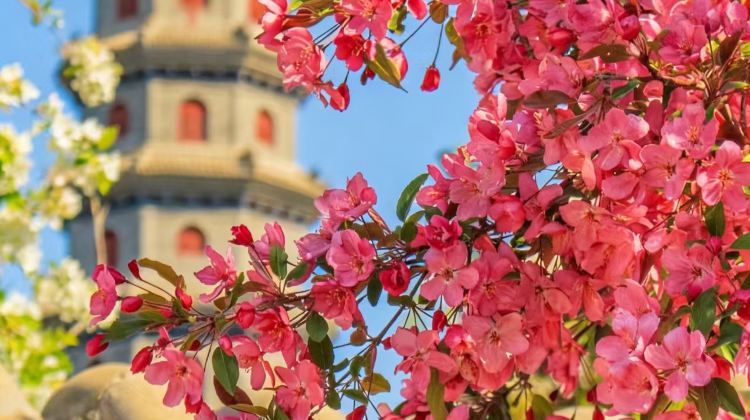3D2N · Private Tours · Special Offer: Beijing Classic Tour & Simatai Great Wall