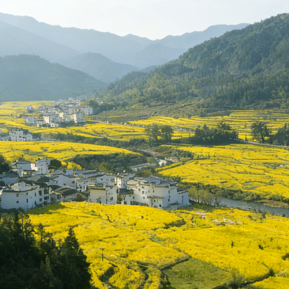 黄山风景区+西递+宏村景区+徽州古城5日4晚跟团游