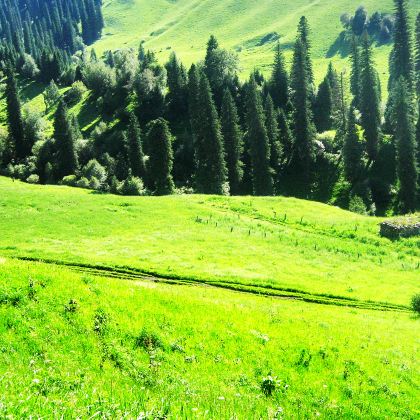 新疆北疆+伊犁+那拉提旅游风景区+赛里木湖5日4晚拼小团