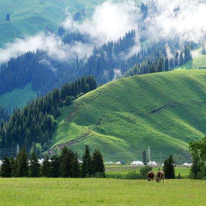 新疆北疆+伊犁+伊宁市+那拉提旅游风景区+赛里木湖6日5晚拼小团
