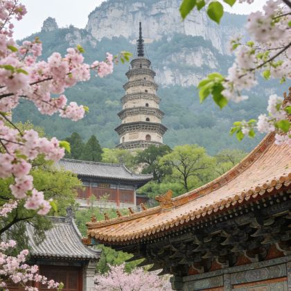 中国山东济南+大明湖景区+趵突泉景区2日1晚拼小团