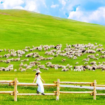 呼伦贝尔+额尔古纳+满洲里+阿尔山8日7晚拼小团