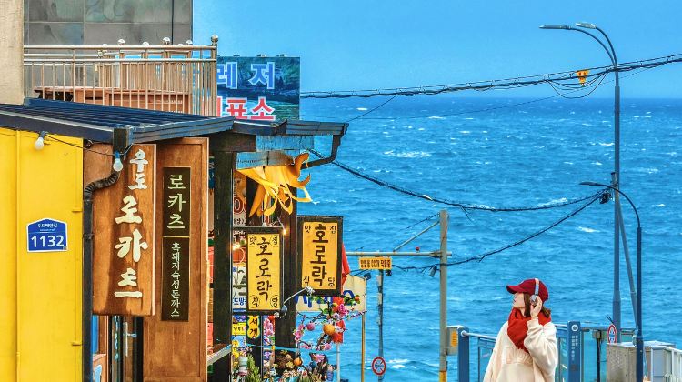 济州市+17