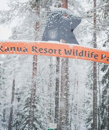 2D1N • Rovaniemi 2 days Activities Package