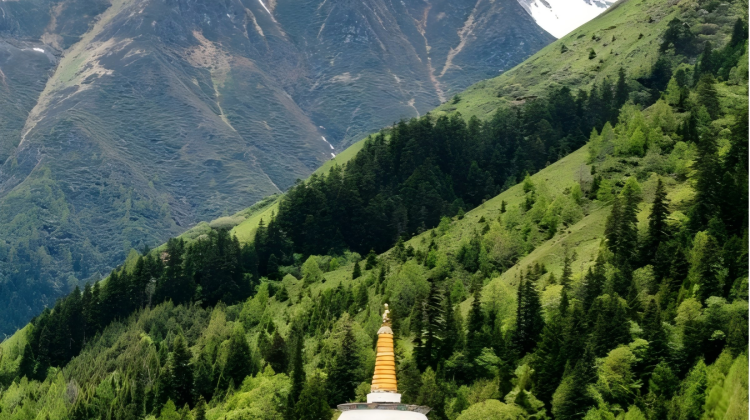 3D2N · Private Tours · Immersive top 3 Western Sichuan highlights - Mt. Siguniang, Bipenggou, Dagu Glacier - one-stop for snow peaks, glaciers, alpine lakes, grasslands & rhododendrons.