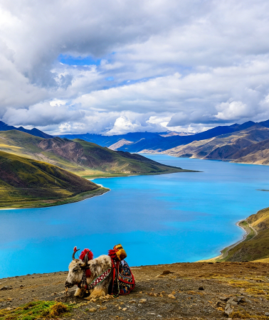 5D4N • Lhasa + Potala Palace + Yamdrok Yumtso