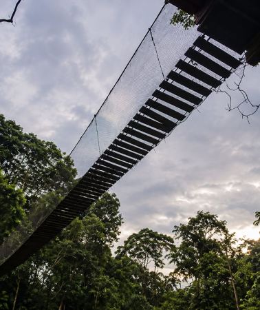 3D2N • Puerto Maldonado: 3 Day Tambopata with Ethnobotanic Garden