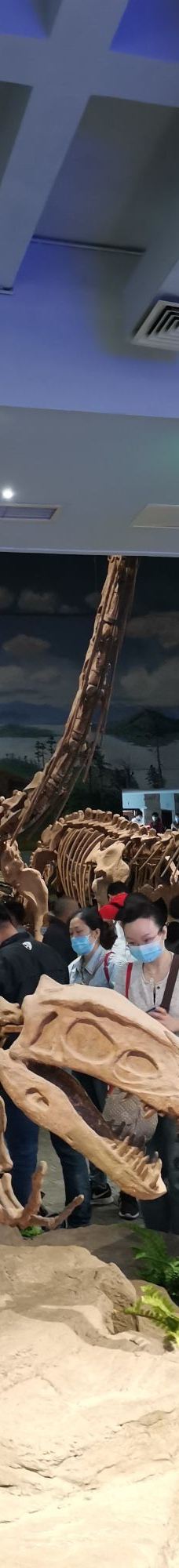 自贡恐龙博物馆-自贡