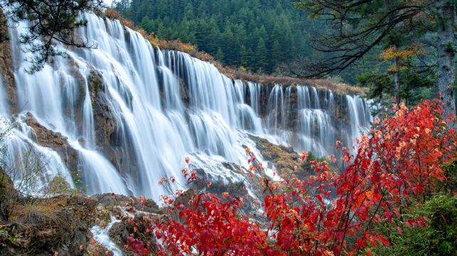 九寨溝+黃龍風景名勝區3日2晚跟團遊·8人團含導遊 成都動車往返九寨 加遊熊貓基地+2+1保姆車 指定入住2晚天源豪生酒店