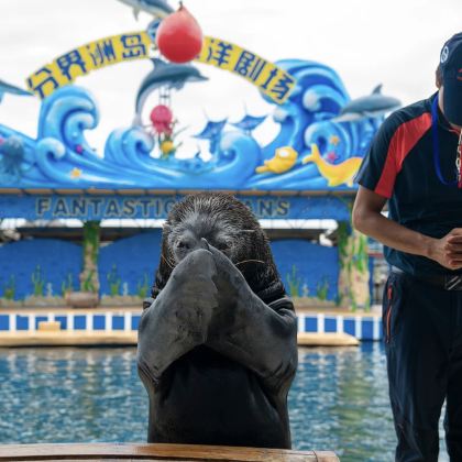 万宁+陵水+分界洲岛5日4晚拼小团