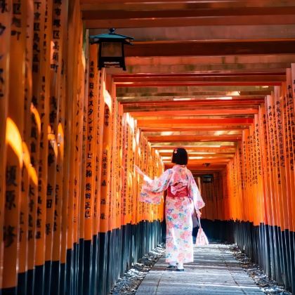 日本大阪+京都6日5晚私家团