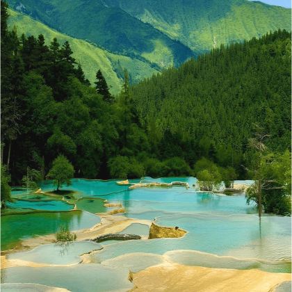 毕棚沟+达古冰川风景区+九寨沟+王朗大熊猫探秘营地+李白故居+越王楼7日6晚私家团