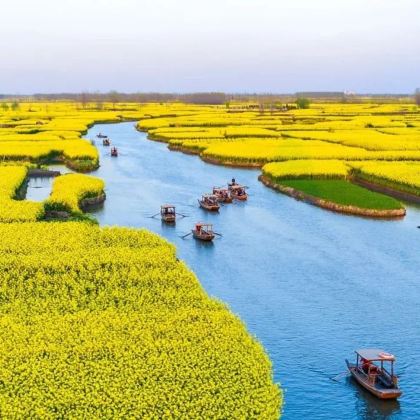 泰州+扬州4日3晚私家团