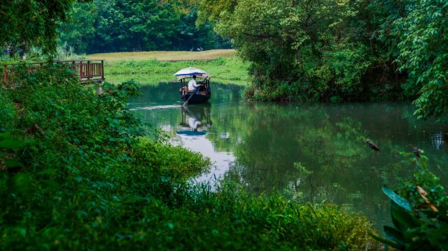 5-Day China Jiangnan Cultural Private Tour from Suzhou to Hangzhou· Hanshan Temple, Shantang Street, Lion Grove Garden, West Lake and Lingyin Temple