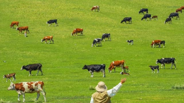 呼和浩特+響沙灣+輝騰錫勒草原+烏蘭哈達火山地質公園5日4晚跟團遊·踏青出行+帶娃無憂+入住福沙島度假村 +3N 國際 5 鑽+連住2N香格里拉+1V1 管家服務 