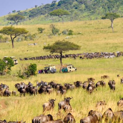 肯尼亚+坦桑尼亚11日9晚跟团游