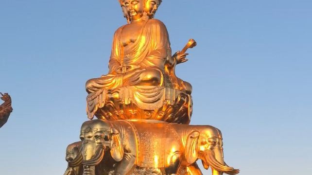 成都+8