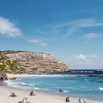 澳大利亚悉尼+阿德莱德+墨尔本13日12晚私家团