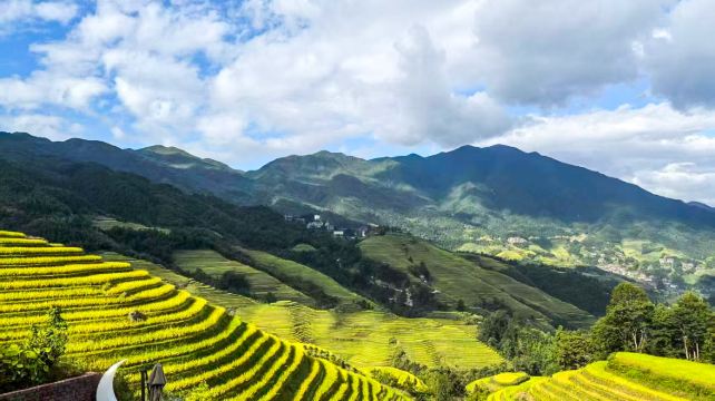 5-Day Guilin & Yangshuo Discovery Private Tour·Li River, Yulong River Bamboo Raft, Longji Rice Terraces and Elephant Trunk Hill