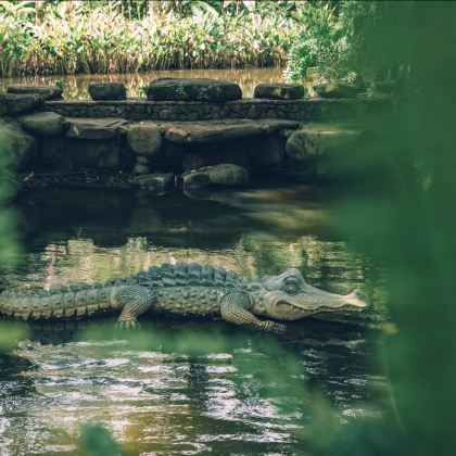 保亭2日1晚私家团