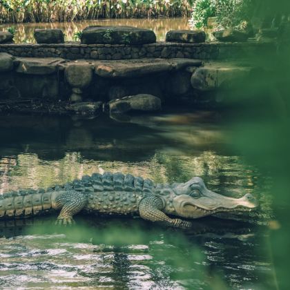 保亭2日1晚私家团