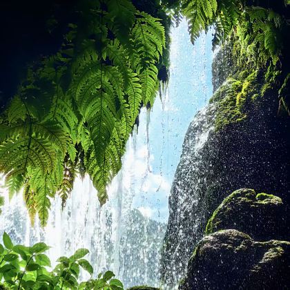 贵州安顺+黄果树景区3日2晚私家团