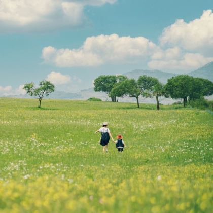 呼和浩特+希拉穆仁草原+响沙湾5日4晚拼小团